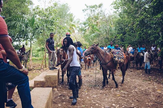 Punta Cana: Samaná, Lemon Falls and Bacardi Island - Mangroves and Taino Connections: Why This Tour Feels More Meaningful