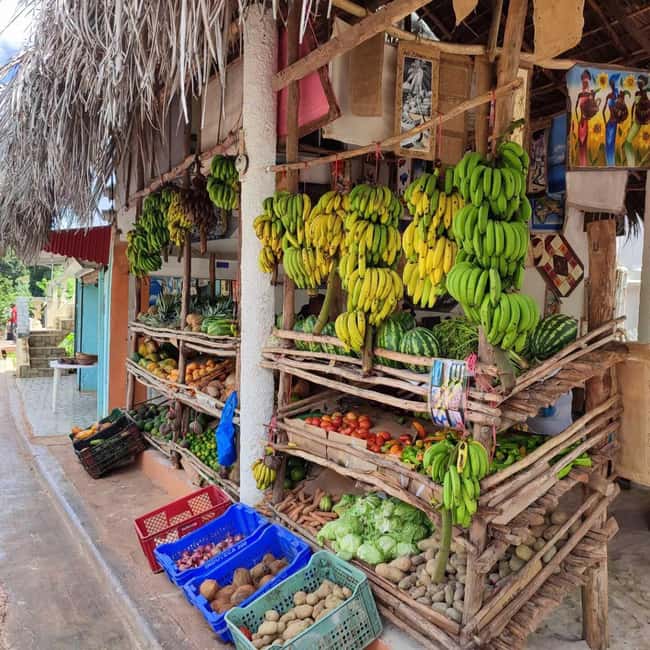 Punta Cana: Samana safari between waterfalls and beaches - Quick reasons this Samaná safari works