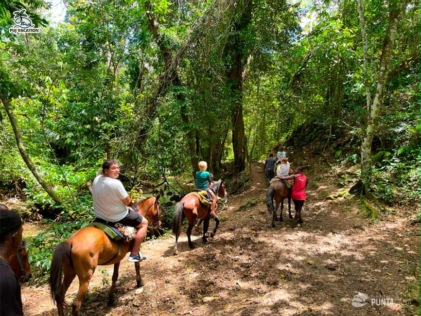 Punta Cana: Samana safari between waterfalls and beaches - Getting to Samaná from Punta Cana means leaving early
