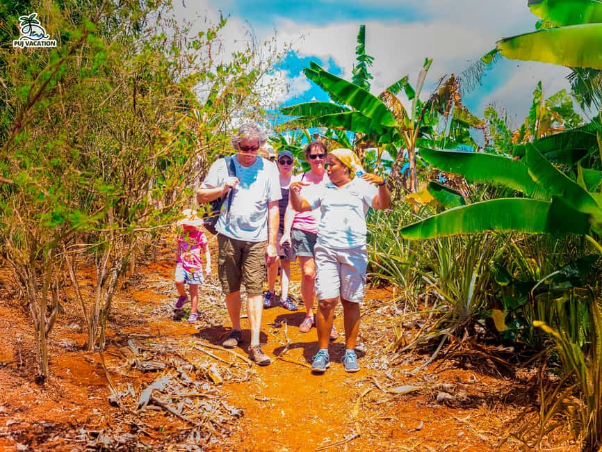 Punta Cana: Samana safari between waterfalls and beaches - Cayo Levantado (Bacardi Island): your beach break