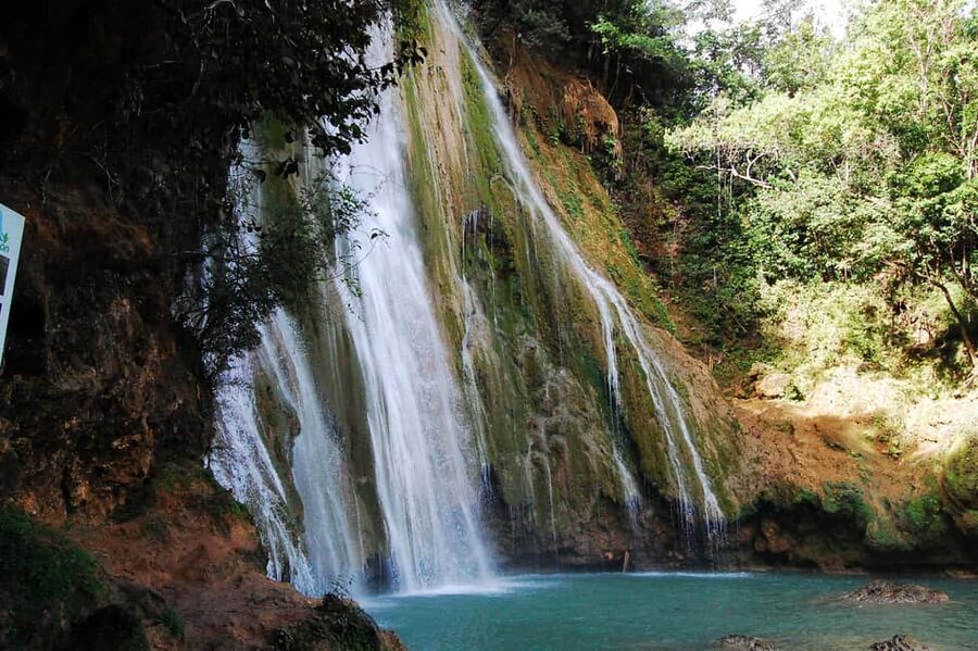 Punta Cana: Samaná Whale Watching, Bacardi & Limon Falls - Limón Waterfall itself: swimming, photos, and a reality check