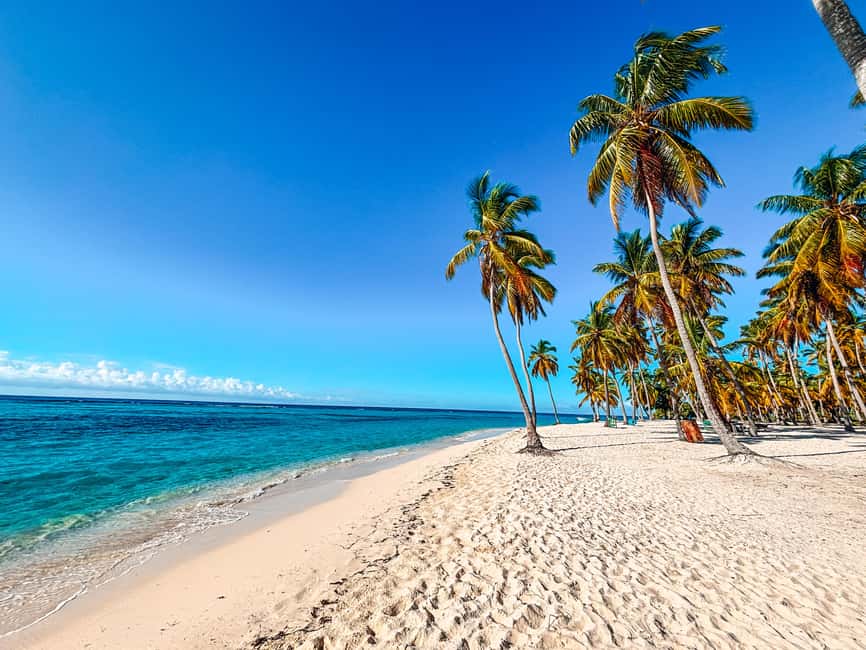 Punta Cana: Saona Crusoe VIP - From your hotel to Bayahibe, then out on a speedboat
