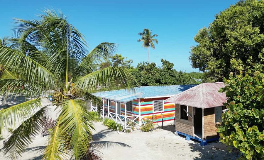 Punta Cana: Saona Crusoe VIP - Mangroves and sea turtles: the lesson that makes the scenery smarter