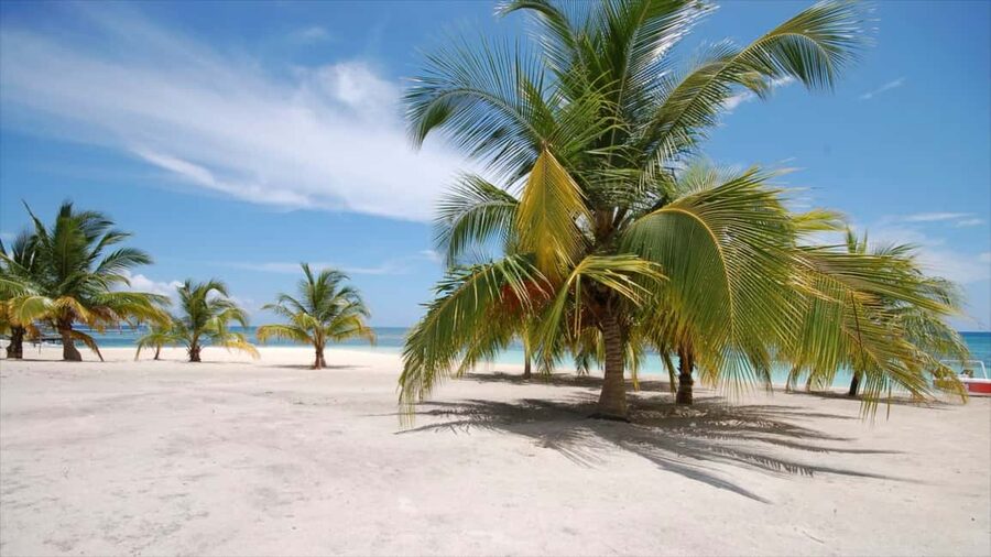 Punta Cana: Saona Island Catamaran Adventure with Lunch - Key points before you go