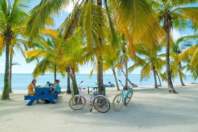 Punta Cana: Saona Island Catamaran Open Bar / Food Hotel Pickup - Quick Take: Saona Island Catamaran Highlights