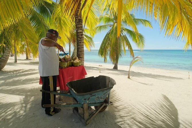 Punta Cana: Saona Island Catamaran Open Bar / Food Hotel Pickup - Buffet Lunch Plus Open Bar: The Part You Actually Need