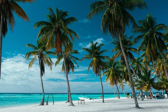 Punta Cana: Saona Island Catamaran Open Bar / Food Hotel Pickup - Communication, Pickup, and Crowd Reality: Signals That Matter