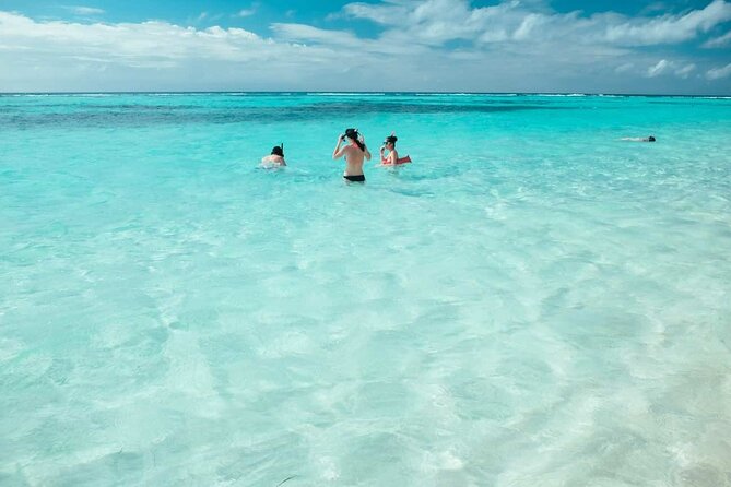 Punta Cana: Saona Island Catamaran Open Bar / Food Hotel Pickup - Who Should Book This Saona Day Trip From Punta Cana?