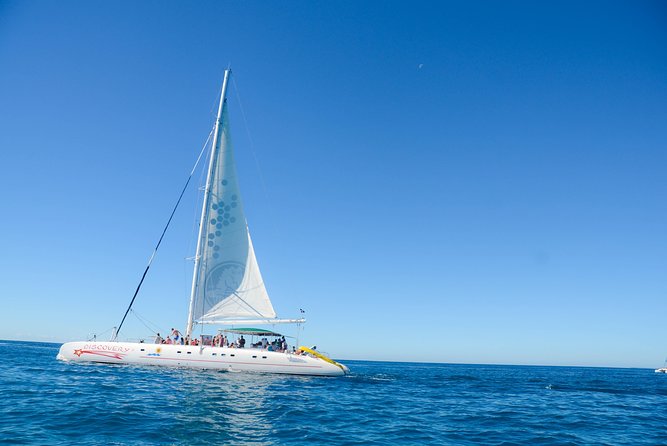 Punta Cana : Saona Island Day Tour - Key Points You Should Know Before You Go
