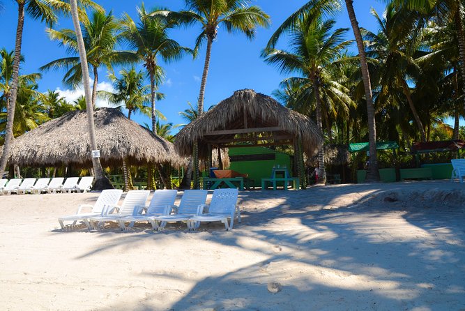 Punta Cana : Saona Island Day Tour - Natural Pool at Playa Palmilla: The Knees-to-Waist Swim Moment