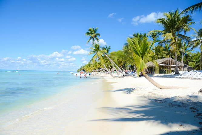 Punta Cana : Saona Island Day Tour - Guide and Group Size: How It Can Make or Break the Day