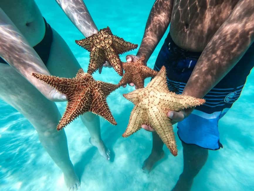 Punta Cana: Saona Island Day Tour and Catamaran Party - Natural Pool Stop: Why This Swim Break Is Worth It