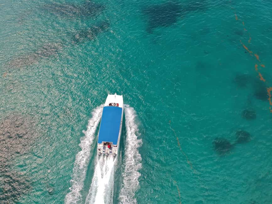 Punta Cana: Saona Island Full-Day All-Inclusive Boat Tour - Saona Island Beach Time: Several Hours to Choose Your Pace