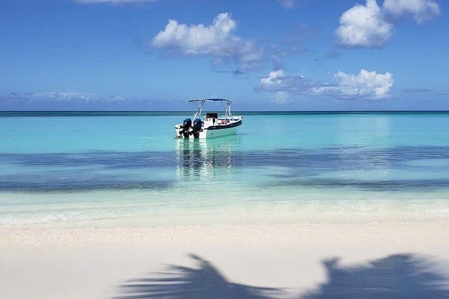 Punta Cana: Saona Island Full-Day Group Tour - Punta Cana to Saona Island, The Day at a Glance