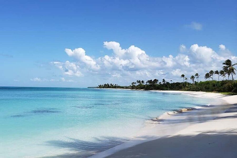 Punta Cana: Saona Island Full-Day Group Tour - Secret Beach Time: Views, Swimming, And Less Rush