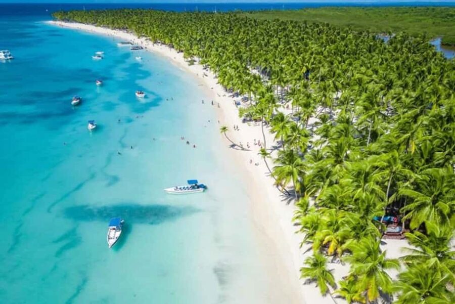 Punta Cana: Saona Island Full-Day Open Bar, Lunch & Transfer - The Natural Starfish Pool Stop: Quick Swim, Big Wow