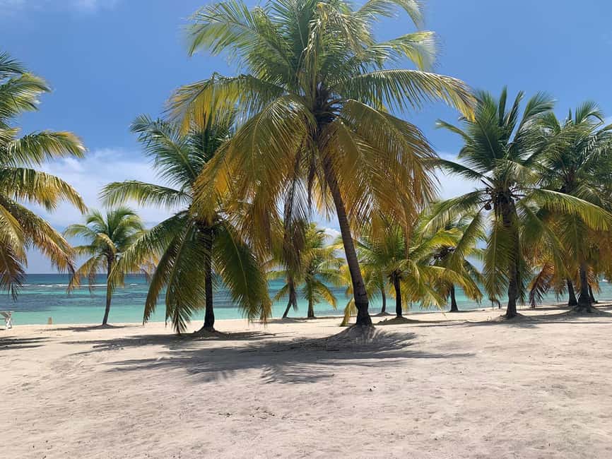 Punta Cana: Saona Island Premium 3 beaches - Key things that make this Saona trip worth your attention