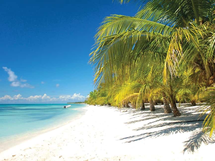 Punta Cana: Saona Island Speedboat and Catamaran Tour - Natural Pool (Blue Lagoon) Stop and the Starfish Sanctuary Rules