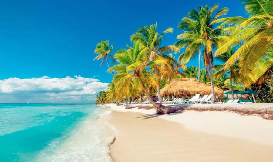 Punta Cana: Saona Island Tour with Lunch and Drinks - Lunch at Palmera Turística Beach and the Natural Pool Break
