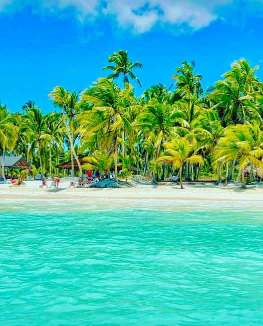 Punta Cana: Saona Island VIP | Private Beach, Open Bar & Lunch - Speedboat Return: Fast Ride, and Watch Your Step