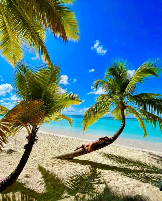 Punta Cana: Saona Island VIP | Private Beach, Open Bar & Lunch - The 9-Hour Day: Transfers Matter More Than You Think
