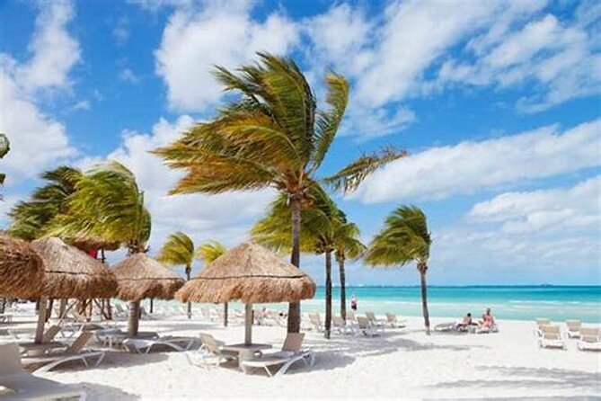 Punta Cana: Saône Island in Catamaran, Small Groups, With Food - Sunrise Departure and the Reality of Pickup Time