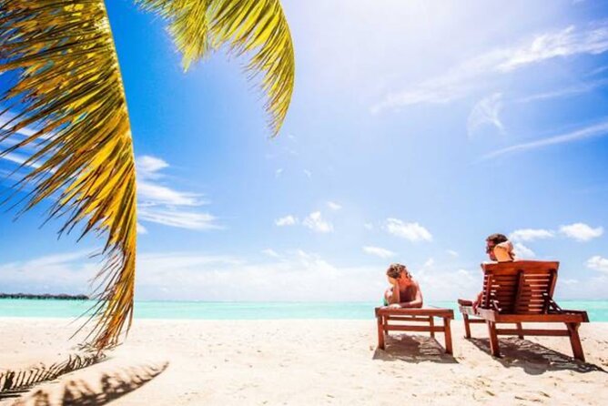 Punta Cana: Saône Island in Catamaran, Small Groups, With Food - Lunch, Open Bar, and National Drinks: Included Comfort