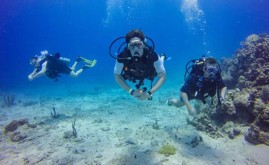 Punta Cana: Scuba Diving Adventure to Catalina Island - Key points to know before you go
