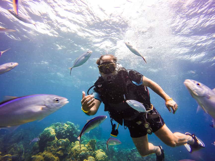 Punta Cana: Scuba Diving Adventure to Catalina Island - Why Catalina Island works so well for a Punta Cana day