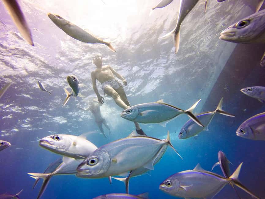 Punta Cana: Scuba Diving Adventure to Catalina Island - Underwater stop one at The Wall (about 5m to 40m+)