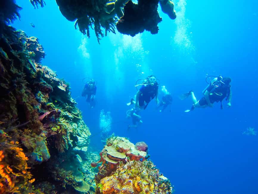 Punta Cana: Scuba Diving Adventure to Catalina Island - Gear, rules, and what to pack for comfort