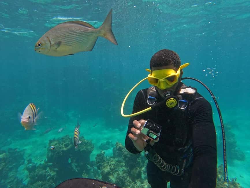 Punta Cana: Scuba Doo Adventure with Round-Trip Transfer - Snorkeling time: why it complements the scooter ride