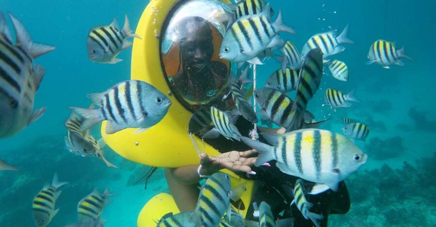 Punta Cana: Scubadoo Ocean Exploration Diving Adventure - Should you book Punta Cana ScubaDoo Ocean Exploration?