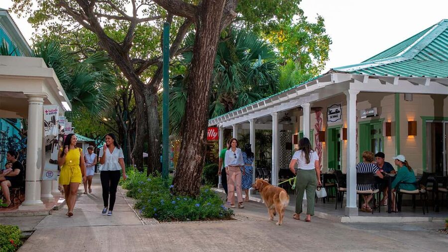 Punta Cana: Shopping Tour with Hotel Pickup and Drop-Off - Key things to know before you go