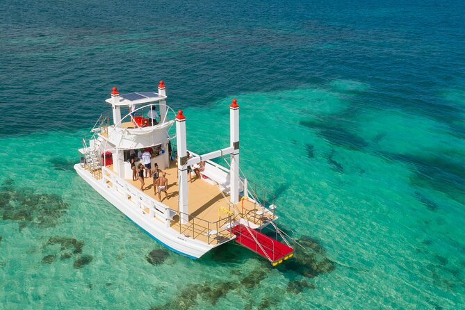 Punta Cana Slide Boat (Medium Group) - What’s actually included: open bar, snacks, and snorkeling gear