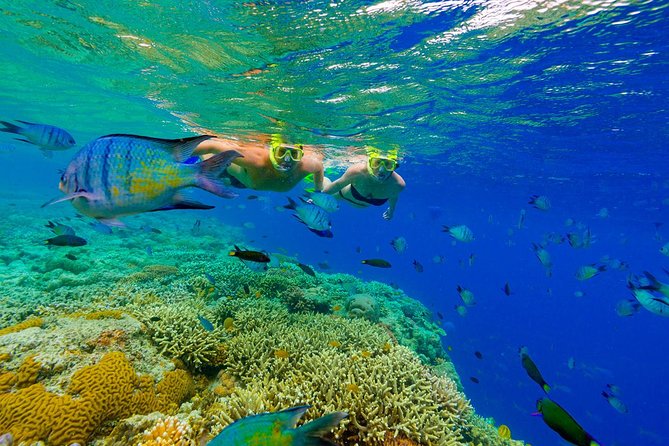 Punta Cana Snorkeling Cruise and Dune buggy Combo Adventure - All-inclusive value: where your $129 is going
