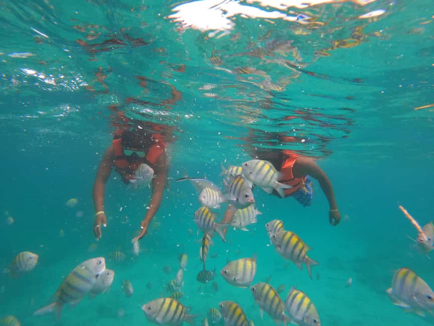 Punta Cana: Speed Boat Ride & Snorkel Adventure - Equipment and Comfort: Small Things That Change Your Day