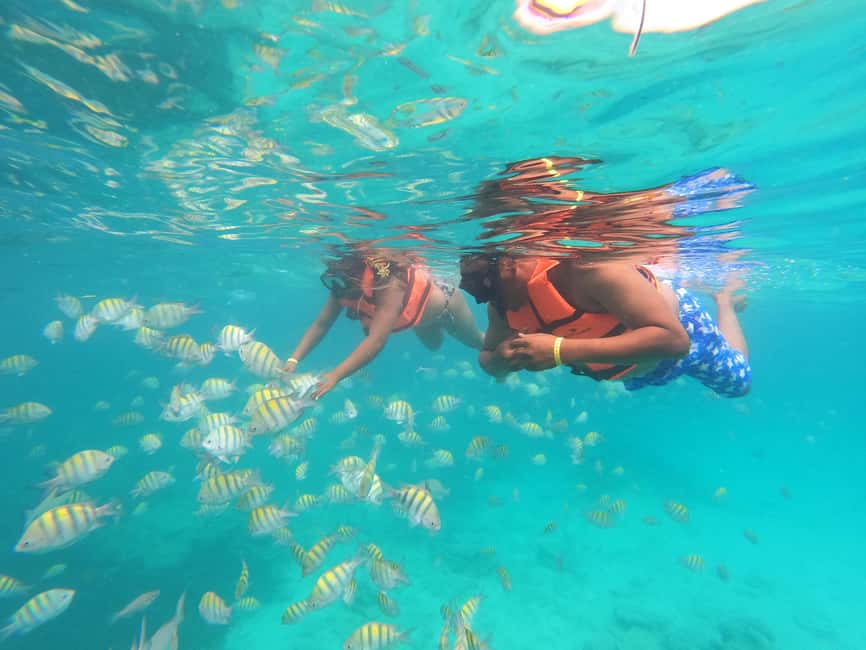 Punta Cana: Speed Boat Ride & Snorkel Adventure - The Only Real Downsides to Plan Around