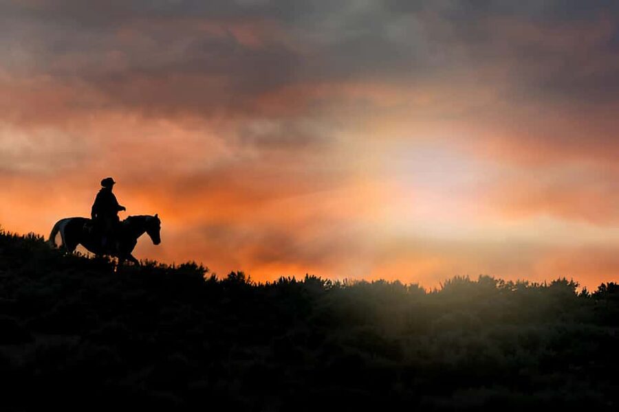 Punta Cana: Sunset Horseback Ride in Macao Beach and Forest - Punta Cana, but quieter: what this sunset ride really feels like