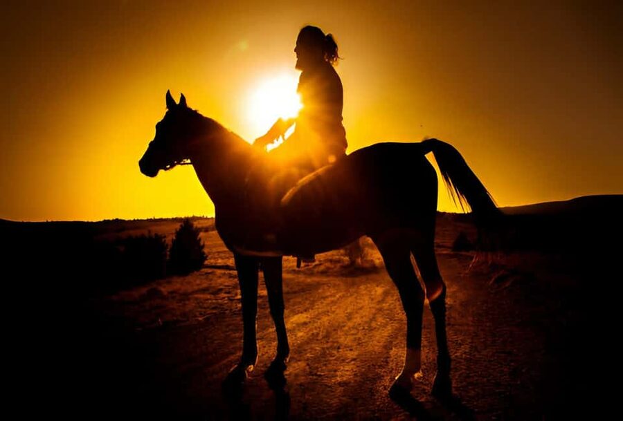 Punta Cana: Sunset Horseback Ride in Macao Beach and Forest - The horseback ride: forest tracks, beach pace, and safety basics