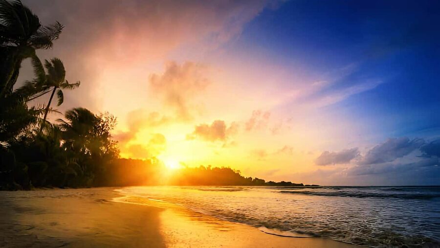 Punta Cana: Sunset Horseback Ride in Macao Beach and Forest - Who this sunset ride is for, and who should skip it