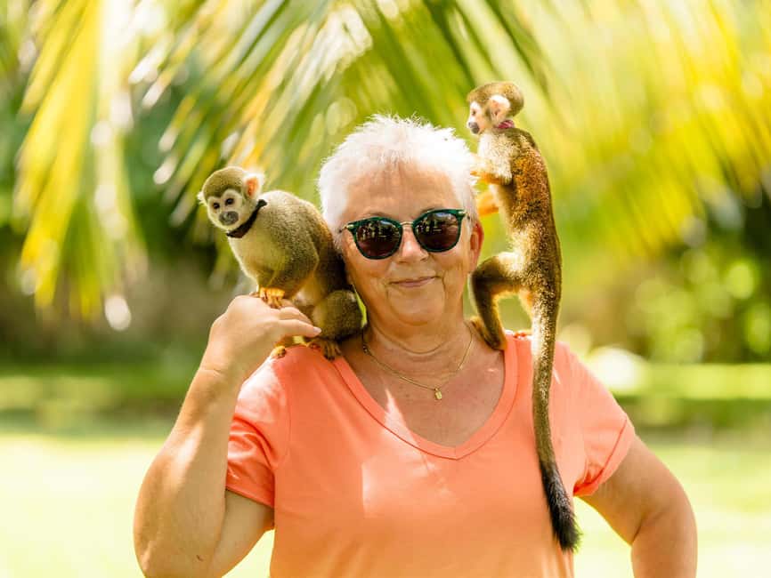 Punta Cana: Tour Monkey Adventure With Hotel Pick Up - Key things to know before you go