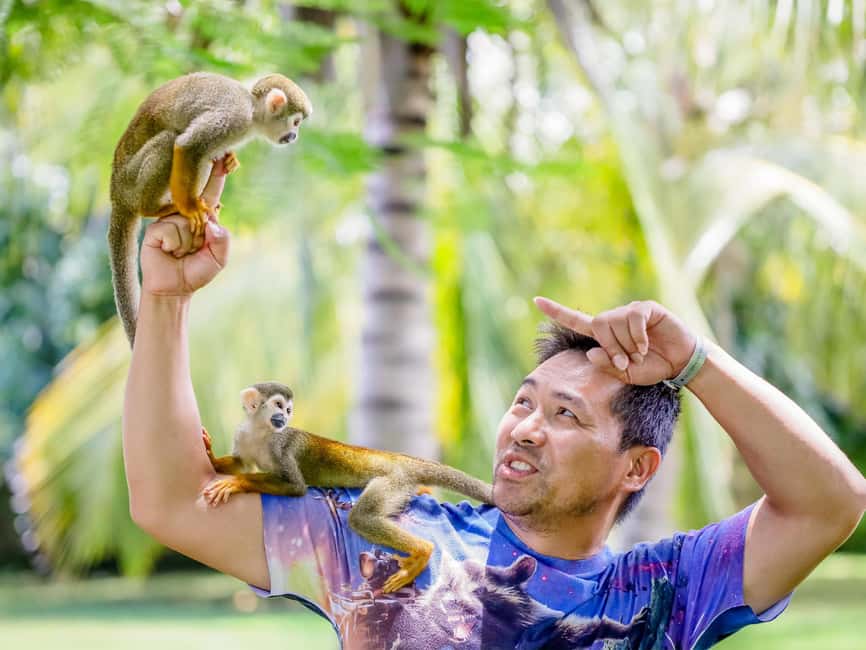 Punta Cana: Tour Monkey Adventure With Hotel Pick Up - What You Do With the Monkeys (And Why It Feels Different)