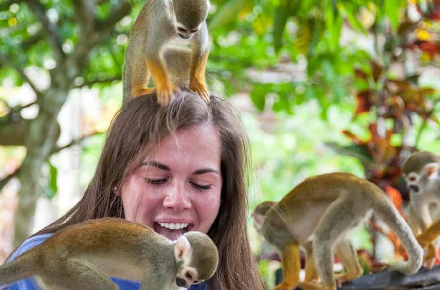 Punta Cana: Triple Jungle Adventure Park Tour with Tastings - Practical Tips That Make the Day Easier