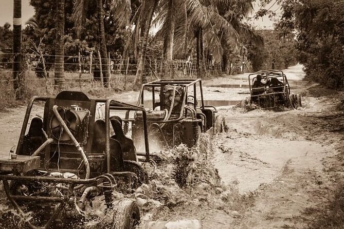 Punta Cana: Ultimate Dune Buggy Experience in Macao Beach Caves - Coffee and Cacao on a Local Farm: What You’ll Learn