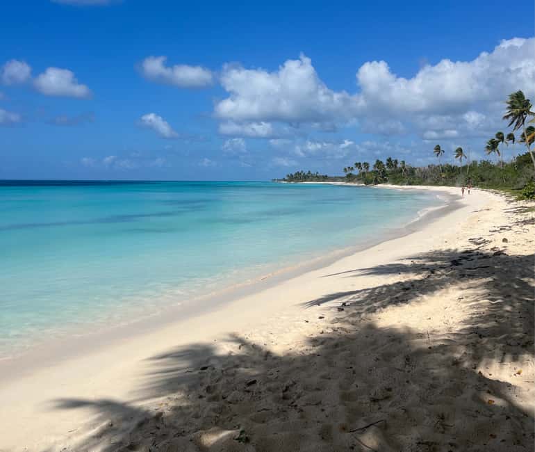 Punta Cana: VIP Private Speedboat Escape to Saona Island - Key Points You’ll Care About