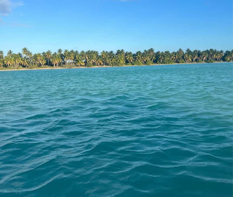Punta Cana: VIP Private Speedboat Escape to Saona Island - Mano Juan Village VIP Lunch, A Real Fishing Community Moment
