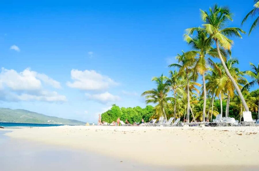 Punta Cana: Whale Watching, Cayo Levantado & Limon Waterfall - Key Things I’d Plan Around