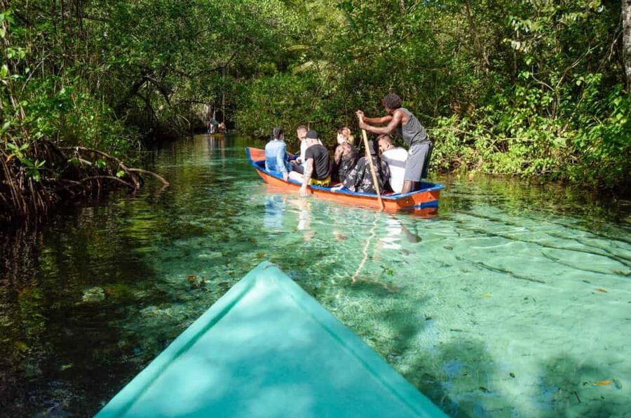 Punta Cana: Whale Watching, Cayo Levantado & Limon Waterfall - Why This Samaná Day Trip Works Better Than Most “Beach Only” Excursions