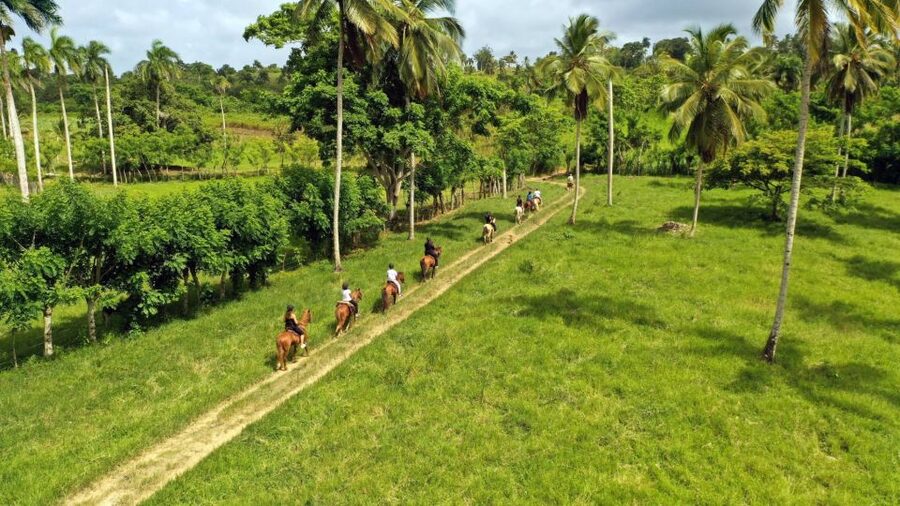 Punta Cana: Xploration Animal Park Bus Tour with Encounters - Logistics that shape your day: time, heat, and pacing